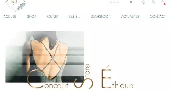 Screen du site les3lvegan